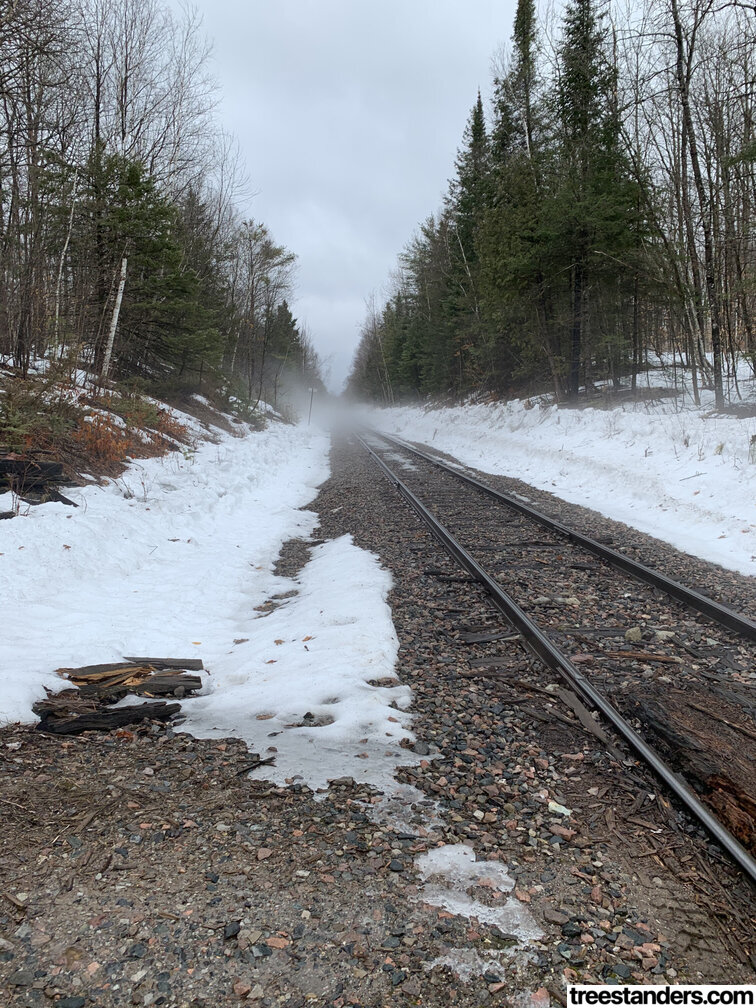 foggy train tracks