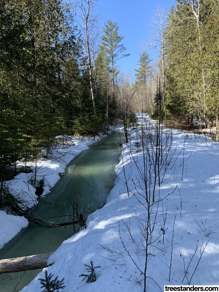 frozen stream