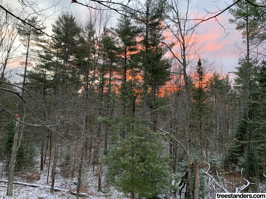 Cover image for General Tips for New and Aspiring Whitetail Deer Hunters