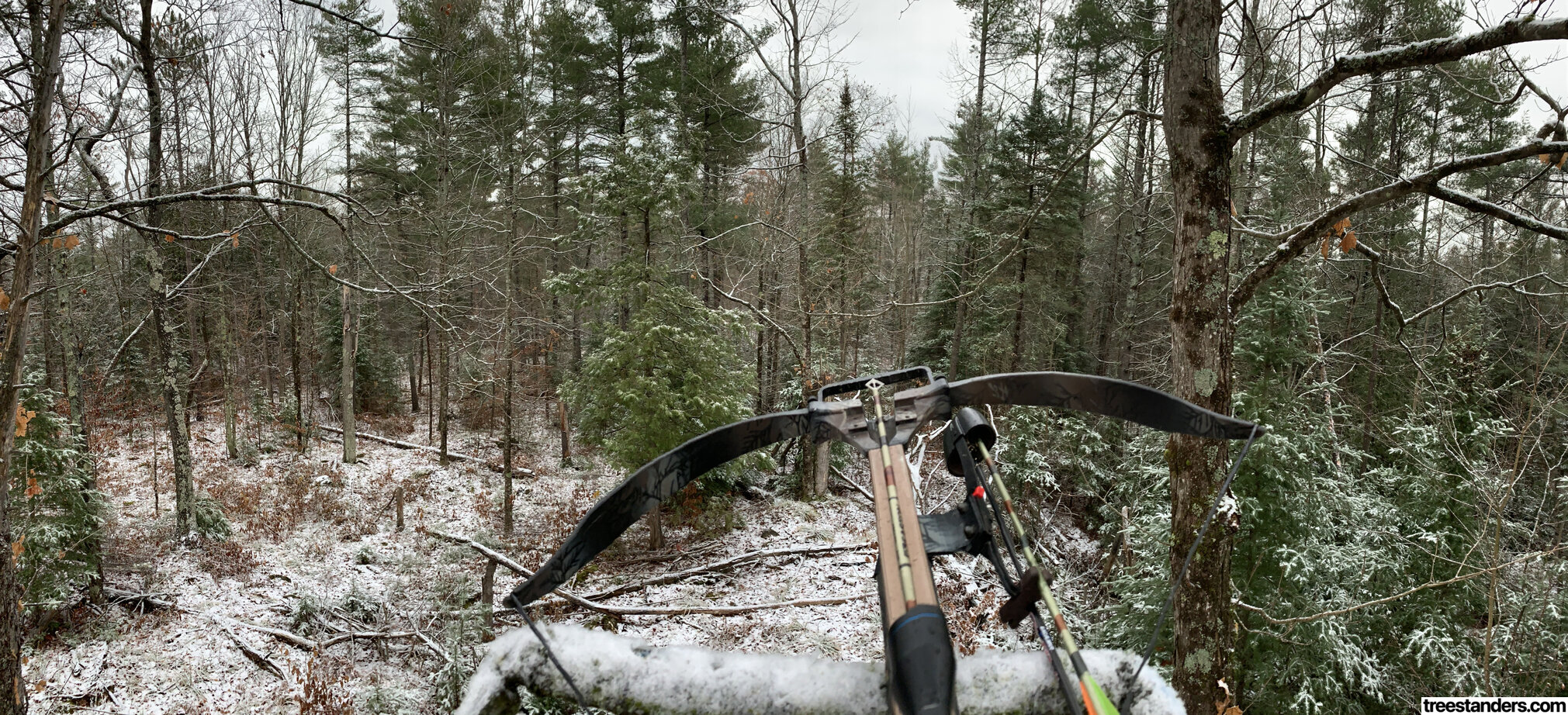 Cover image for My First Season in the Treestand
