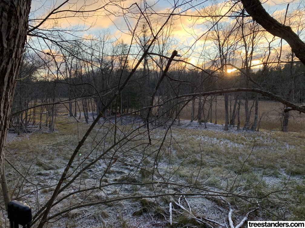 Cover image for My Second Season in the Treestand: Old Fashion Buck and Doe