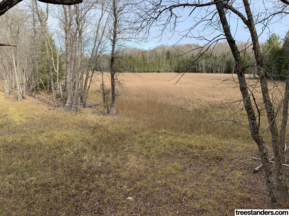 Cover image for Mobile Hunting for Public and Private Land